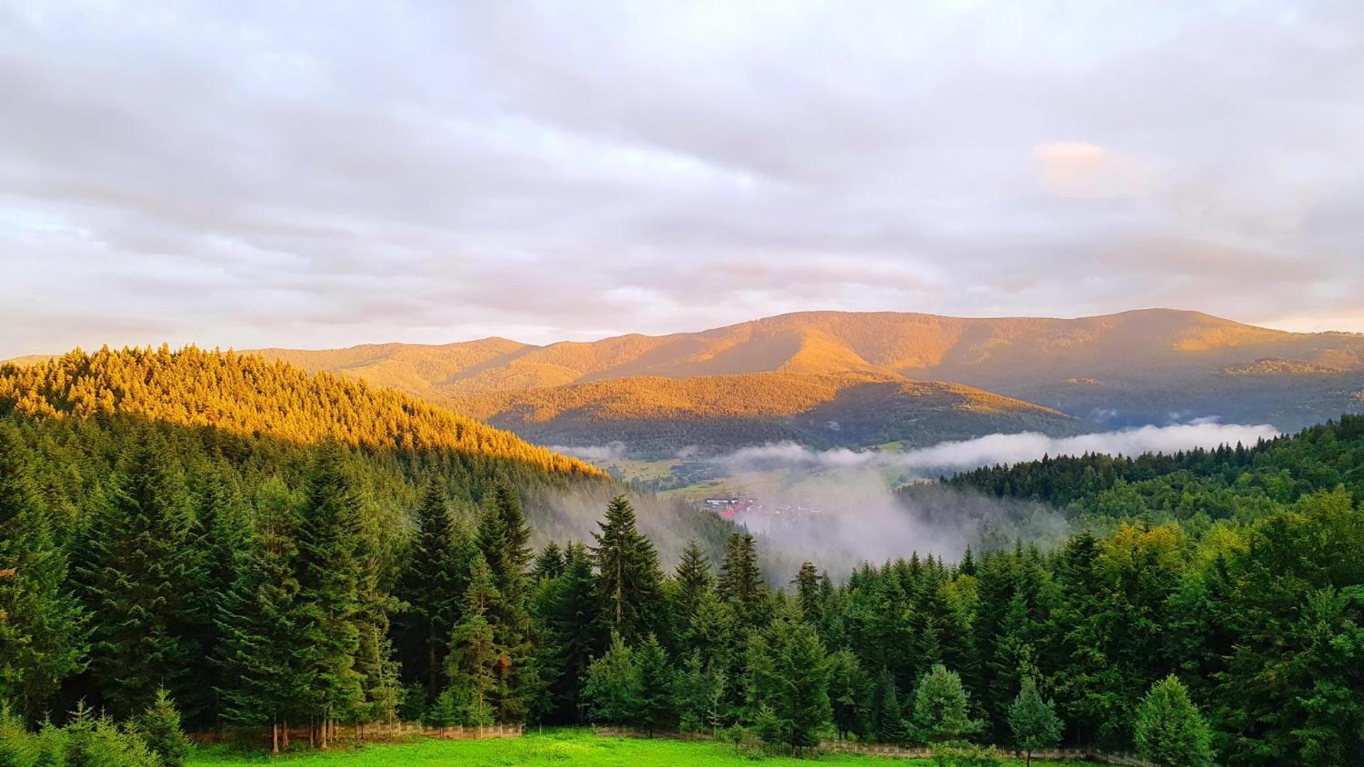 Karmelitanski Dom Goscinny Zawoja Exteriör bild